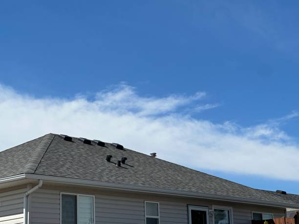 Fast & Reliable Emergency Roof Repairs in Port Carbon, PA